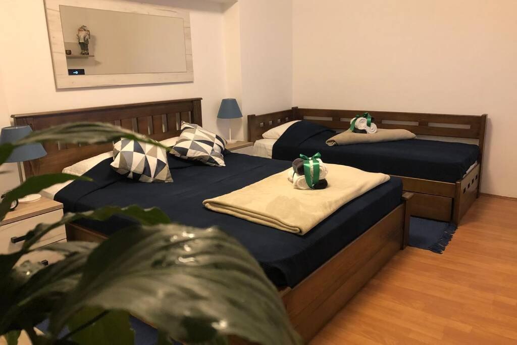 Apartments Balkanska City Center Belgrado Esterno foto